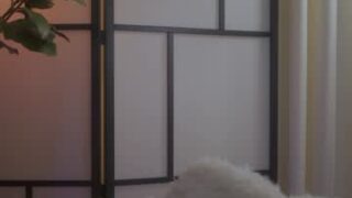 gigi_ulala