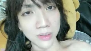 xdreamangel